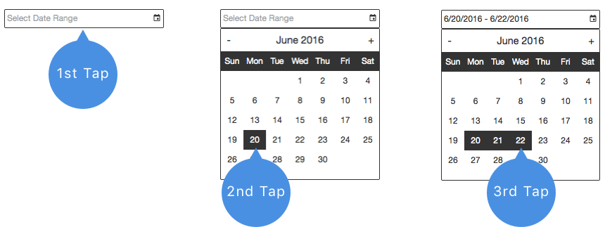 Date Range Selector