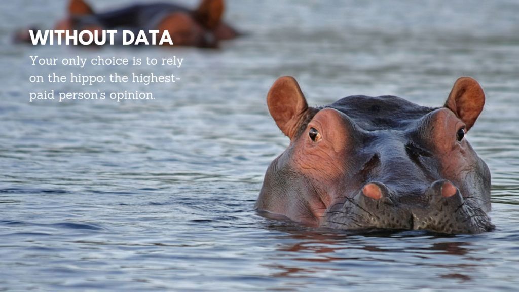 selling ux internally hippo