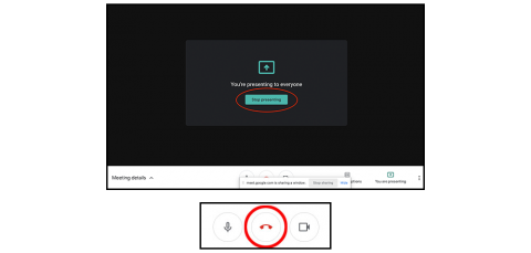 GOOGLE MEET INSTRUCTIONS visual data 6