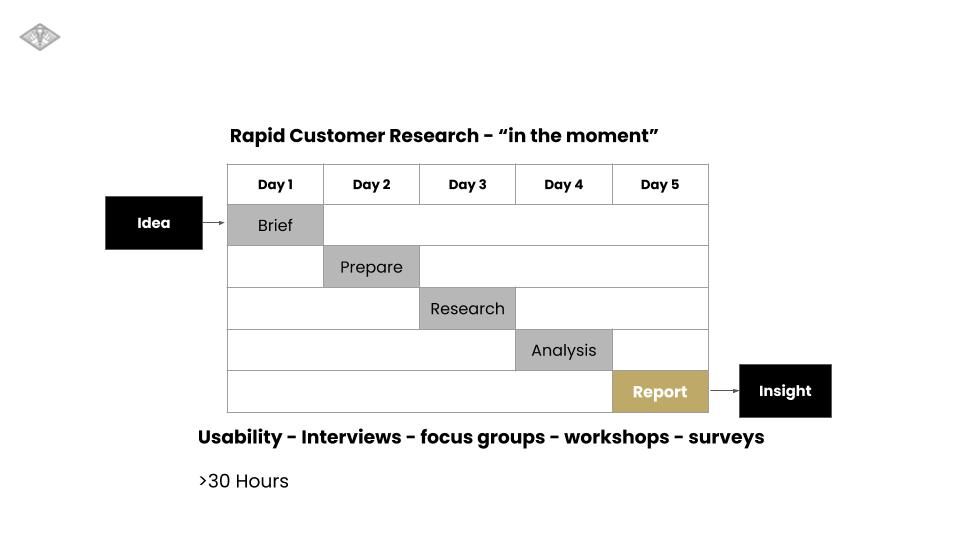 Bigligh Rapid Customer Research