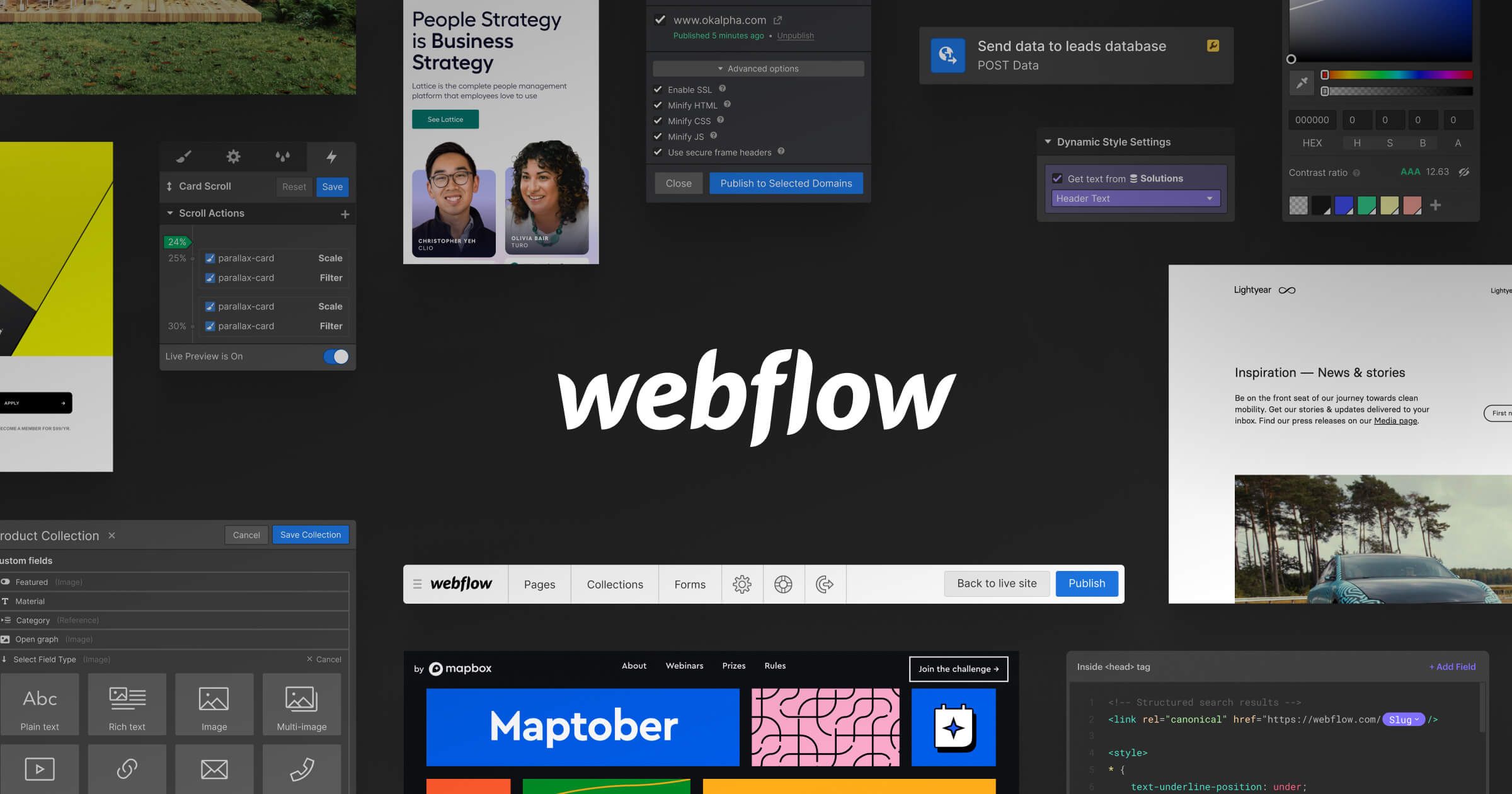 Webflow preview