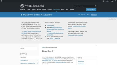 WordPress Accsibility 